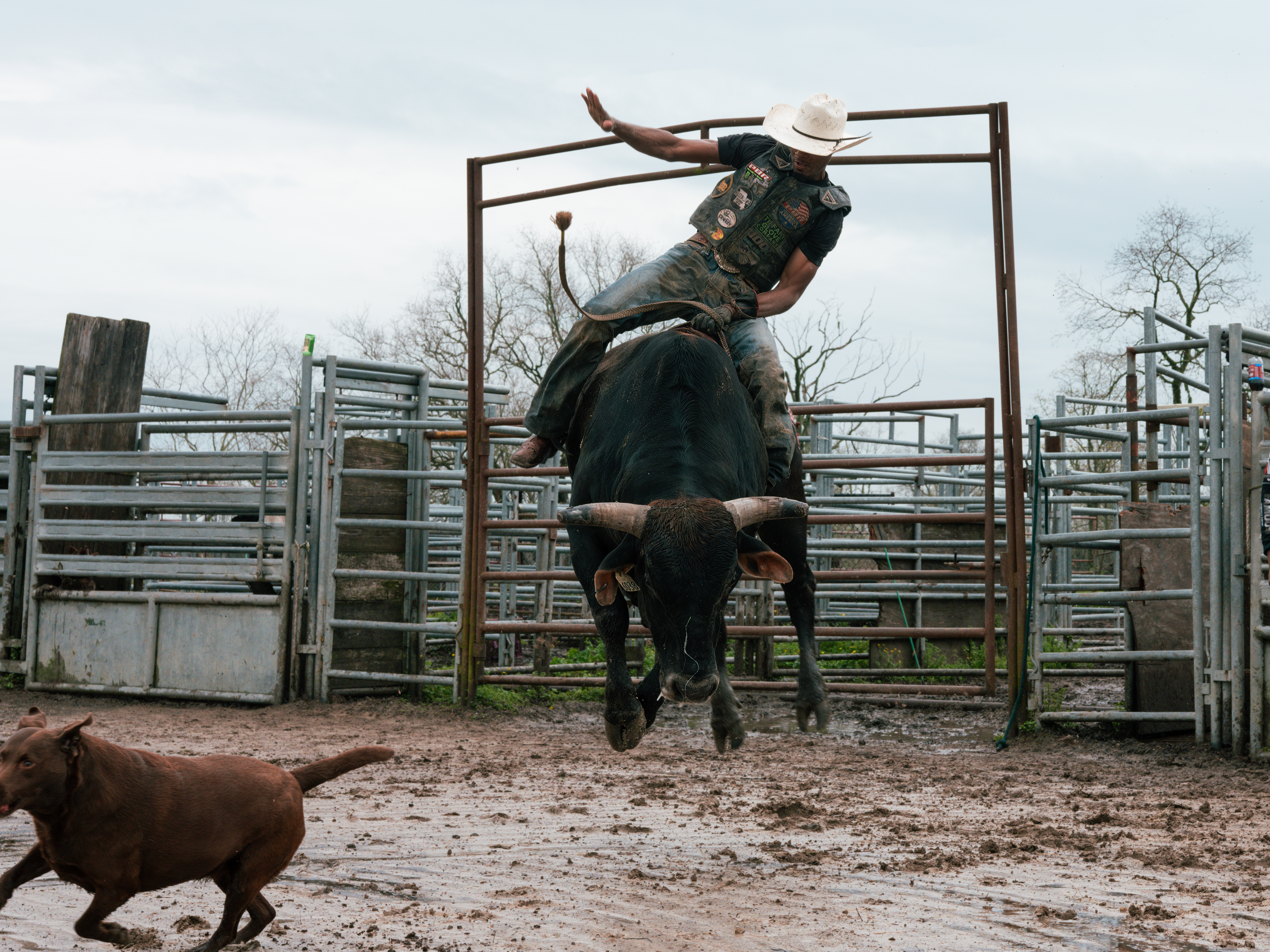 Image of a Black man riding a bull wearing a white cowboy hat